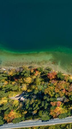 Top view drone shot of a lake with a colorful forest at autumn and a street in the lower side of the photo.の写真素材