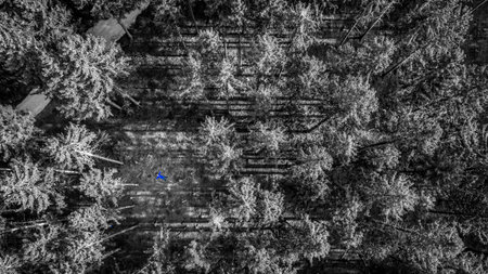 A man is lying in the middle of a forest, black and white color key of a nature scene.
