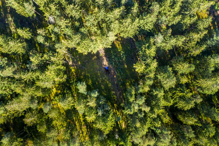 Heart shaped hole in a forest with a man lying in the middle, symbol for love of nature - naturelovers.の写真素材