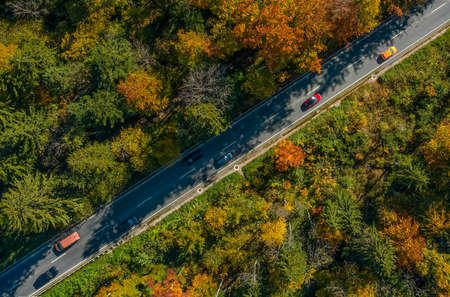 Wonderful colors of the autumn forest crossed by a diagonal asphalt road with driving cars.の写真素材