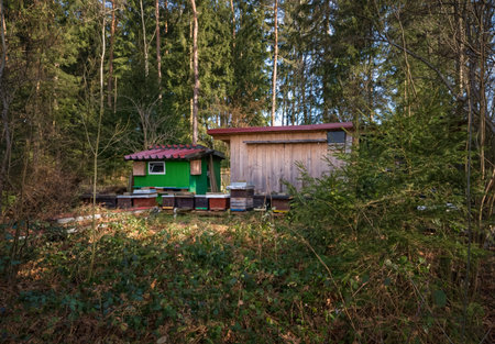 Bee house hidden in a forrest - important environmental element.