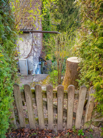 View over a wooden fance into a green, wild little garden.の写真素材