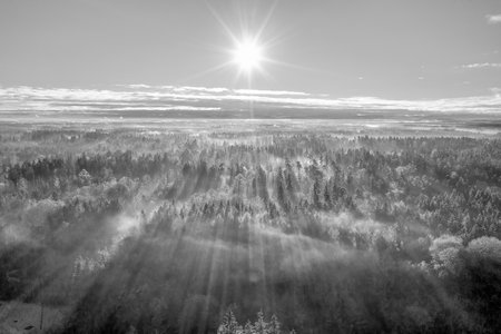 Scenic view of rays of sun beaming through the forest, an aerial from a drone over woodland.の写真素材