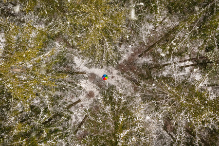 Wonderful winter - Snowy forest scenery with a central rainbow umbrella - arial top down view.の写真素材
