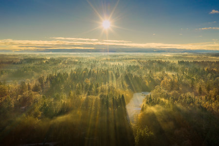 Wonderful foggy environmetal scenery - sunny aerial with the view over a wide forest, autumn moment in germany.の写真素材