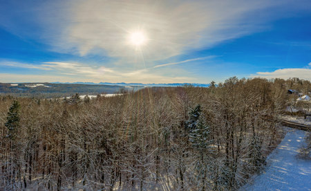 Sunny winter day in aerial view over the tree tops to the alp mountains in the winter background.の写真素材