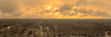 Panoramic coniferous forest in Germany while the sunset is ongoing with wonderful glowing clouds at a wintry evening.の写真素材