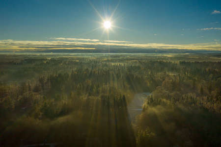 Morning full of fog with a isolated house in the middle of a forest under mysterious sunbeams.の写真素材
