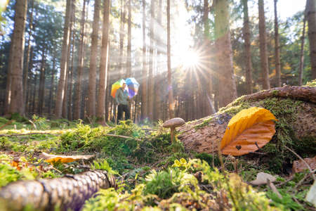 Autumn forest with a mushroom in focus in front of sunrays with a blurred man with a colorful umbrella in the woody backgroundの写真素材