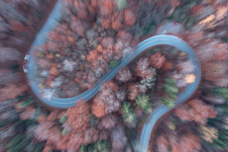 Blurred aerial view on a curved street in the autumnal season.の写真素材