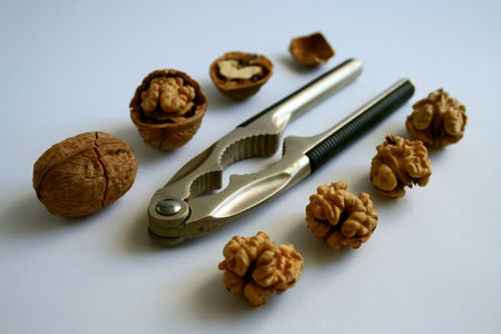 nutcracker with carcked walnutsの写真素材