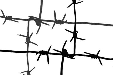 silhouette segment of old barbed wire isolated on whiteの写真素材