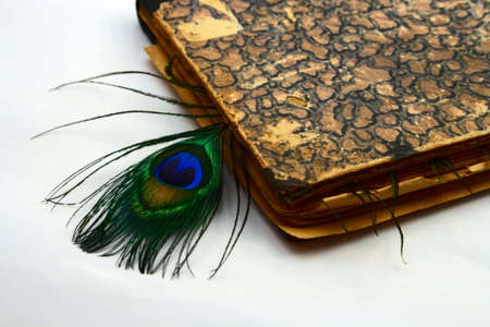 old book and peacock plume as bookmark on whiteの写真素材