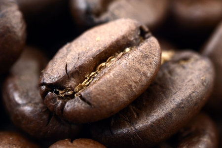 coffee grain macro shootの写真素材