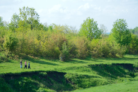 three children walking on green meadowの写真素材