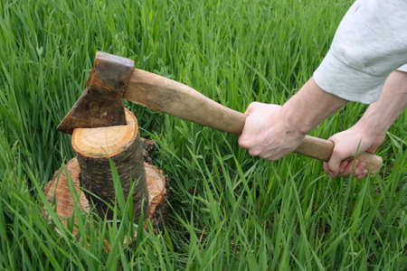 axe in arms cutting firewood on grassの写真素材