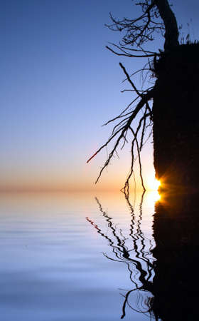 sunset with lonely dry tree on red rock flooding in waterの写真素材