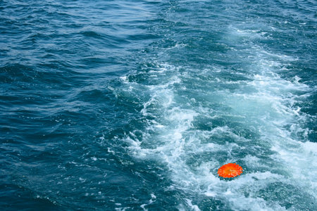 single orange flower in water streamの写真素材