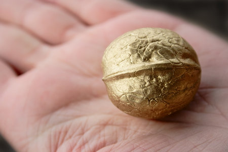 single golden walnut on woman handの写真素材