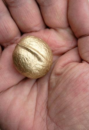 single golden walnut on the woman hand