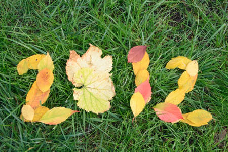 Autumn now. New year will be soon. Fallen red and yellow leafs as 2012 on the grassの写真素材