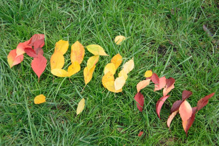 fallen red and yellow leafs making word autumn on green grassの写真素材
