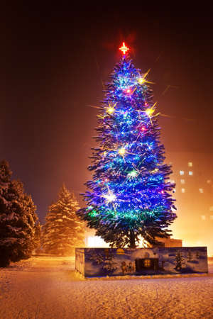 Christmas tree in the town sparkling over dark sky.の写真素材