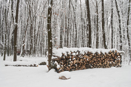 Woodpile in winter and forest under snow.