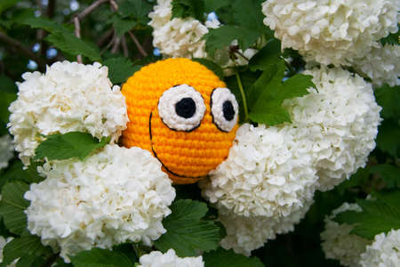 Yellow smiley among guelder rose flowers. Abstract composition.の写真素材