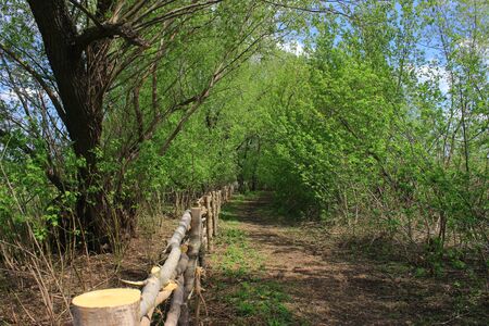 the trail at the fenceの写真素材