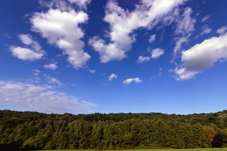 Colorful autumn Landscape. Trees Starting to Change Color in Early Autumnの写真素材