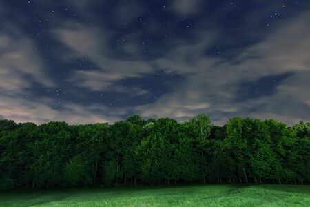 Starry Night,. White clouds, many stars, green forest. The edge of the forest. Beautiful night sky.の写真素材