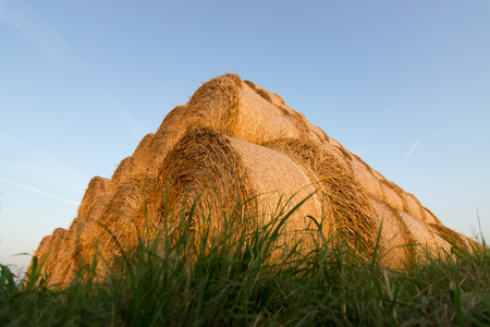Straw bales on farmland. Bale of straw. Straw bales. Selective focus Straw bales stacked on the pileの写真素材