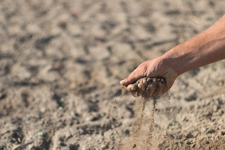 Hand holding a pile of soil above the ground. Hand with soilの写真素材