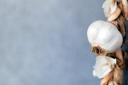 Garlic. String of garlic Close-up
