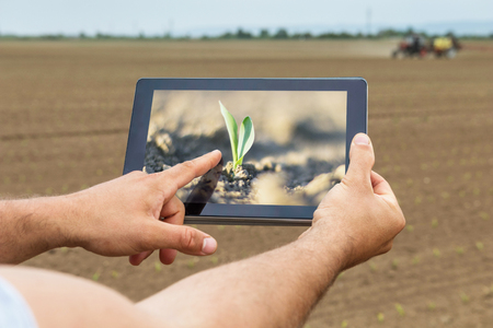 Smart agriculture. Farmer using tablet corn planting. Modern Agriculture concept.の写真素材