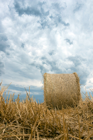 Straw bales on farmland Storm clouds.の写真素材