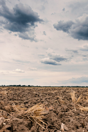 Plowed field and dramatic skyの写真素材