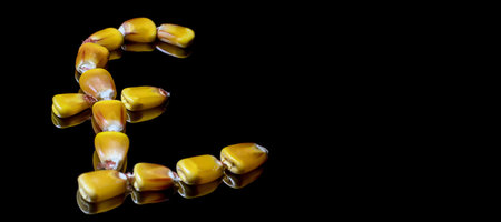 Corn kernels forming Pound sterling symbol. Corn market. Corn kernels. Selective focus and shallow...