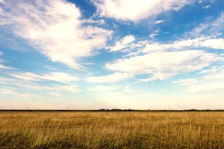 Autumn meadow and blue skyの写真素材