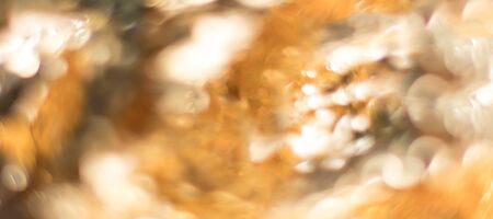 Abstract gold bokeh banner. の写真素材