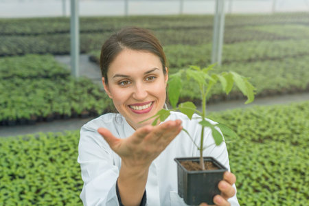 Woman holding potted plant in greenhouse nursery. Seedlings Greenhouse.の写真素材