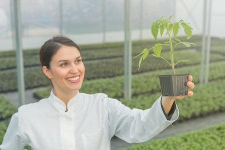 Woman holding potted plant in greenhouse nursery. Seedlings Greenhouse.