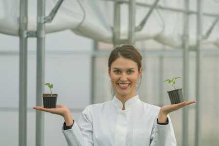 Woman holding potted plant in greenhouse nursery. Seedlings Greenhouse.の写真素材