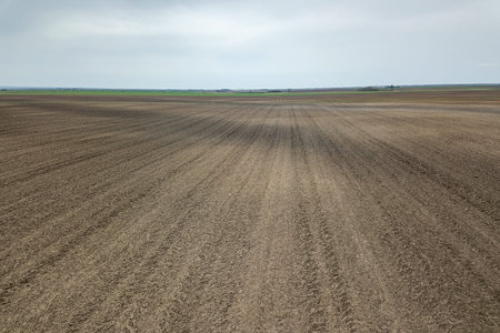 Agricultural land, plowed and prepared for the crop. Aerial View.