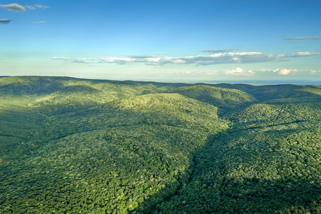 Aerial forest scenery European Forest. Beautiful mountain landscape, with mountain peaks covered with forest.の写真素材