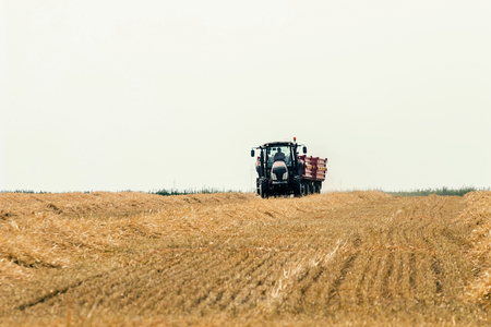 Combine harvester working on a wheat field. Harvesting wheat.の写真素材