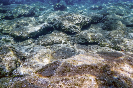 Sea Life Underwater rocks Sunlight, Underwater Life.の写真素材