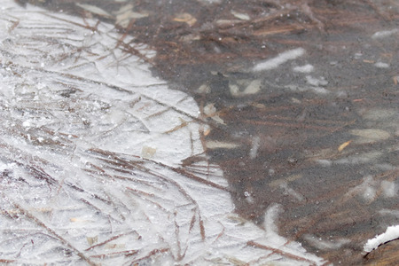 Frozen Grass in a lake. Winter patterns frozen lake surfaceの写真素材