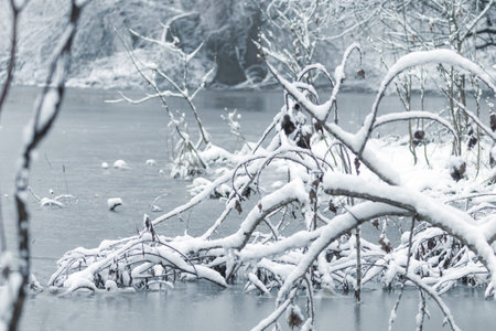 Frozen lake in winter, Winter lake scene